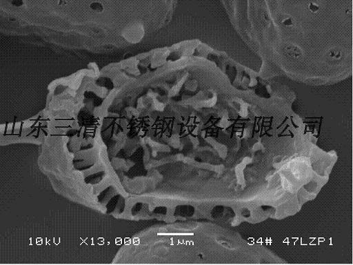 灵芝孢子粉破壁机